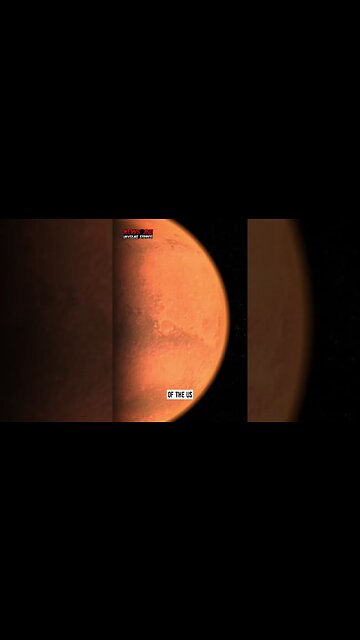 A Dive into Elon Musk's Demons-driven, Mars-obsessed life || News 360 ||