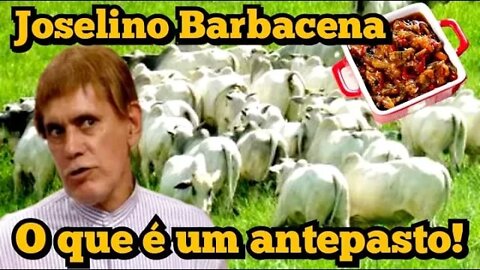 Escolinha do Professor Raimundo; Joselino Barbacena, o que é um antepasto!