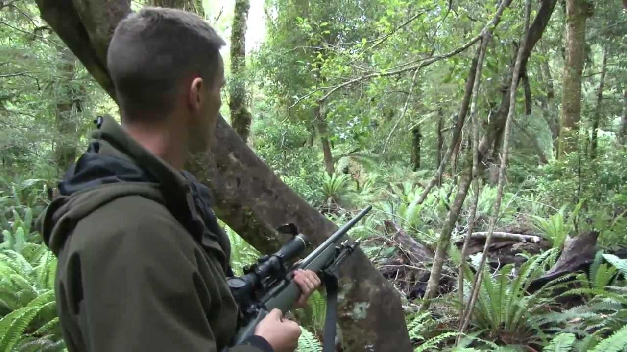 TV WiLD episode six - Taupo Mayor takes shot at stag - And Terry gets his first deer