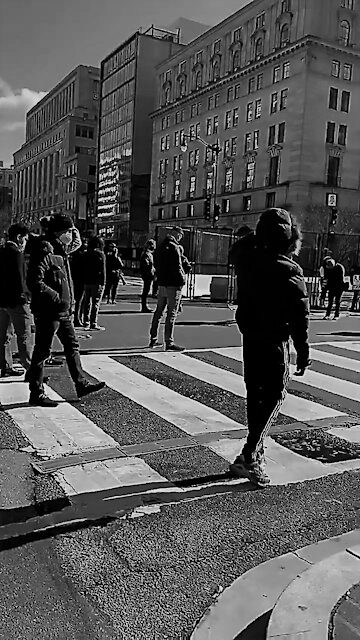 Does This Look Like The Crowd Of Someone Who Recieved "81 MILLION VOTES"?