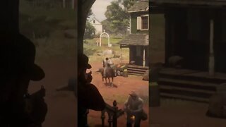 daily dose rdr2#24