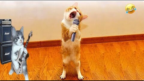 Funniest Animals 2023 😂 | Funniest Cats and Dogs | Part 4