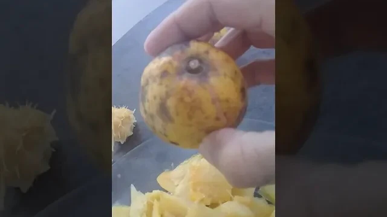 ALGUÉM CONHECE ESSA FRUTA TÍPICA DO LITORAL BRASILEIRO?