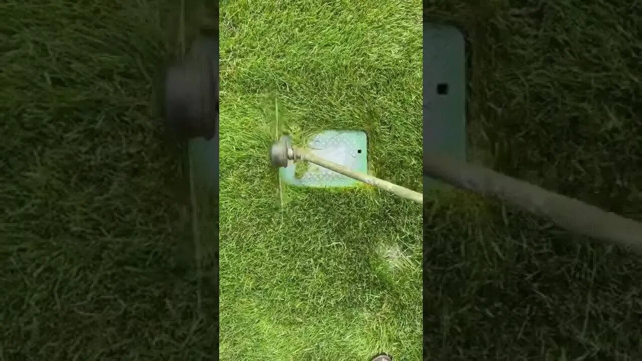 grass