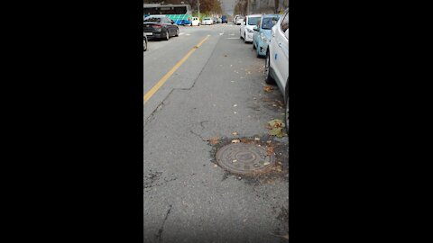 Cars parked on the road