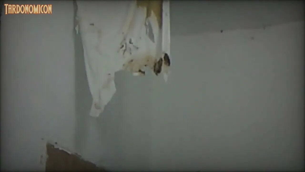 2022 05 24 4 the nightmare continues forever