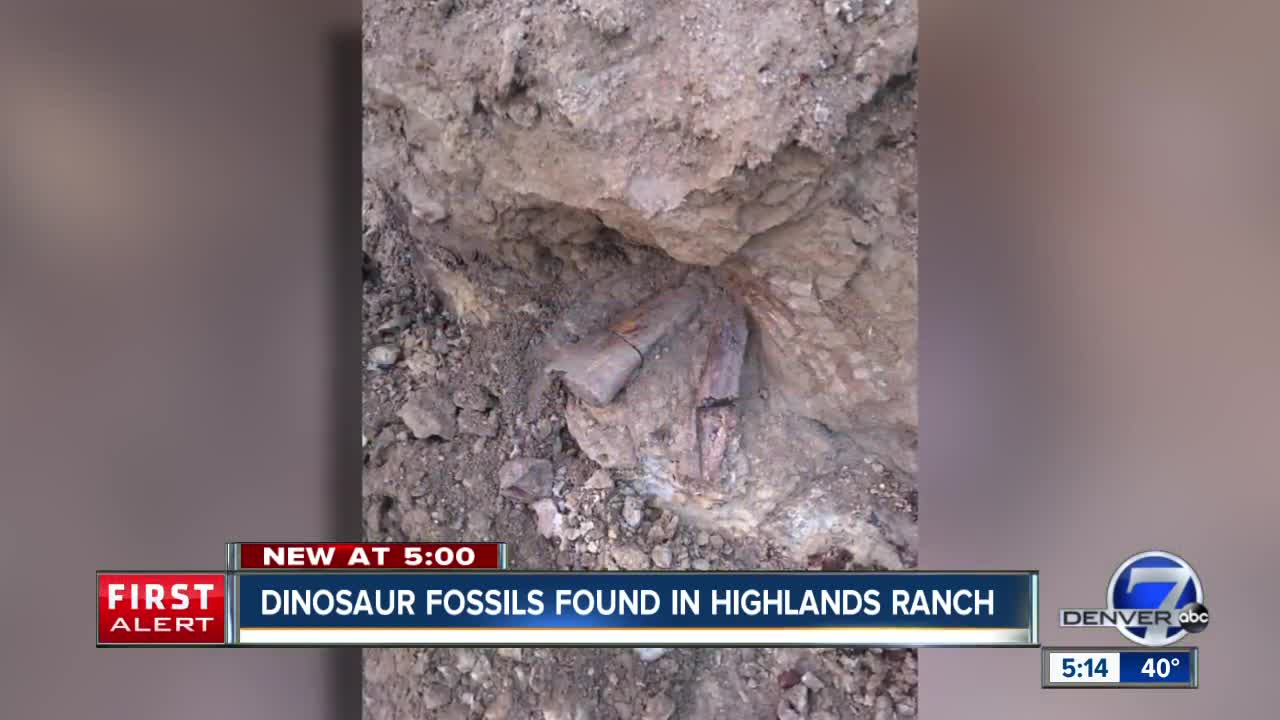 Construction crews dig up dinosaur fossils in Highlands Ranch