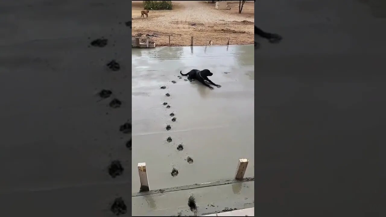 My Innate gift ? , # short