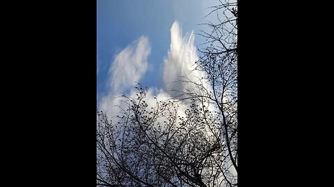 STELLVERTRETEND REUE ERWECKEN FÜR ALLE STERBENDEN