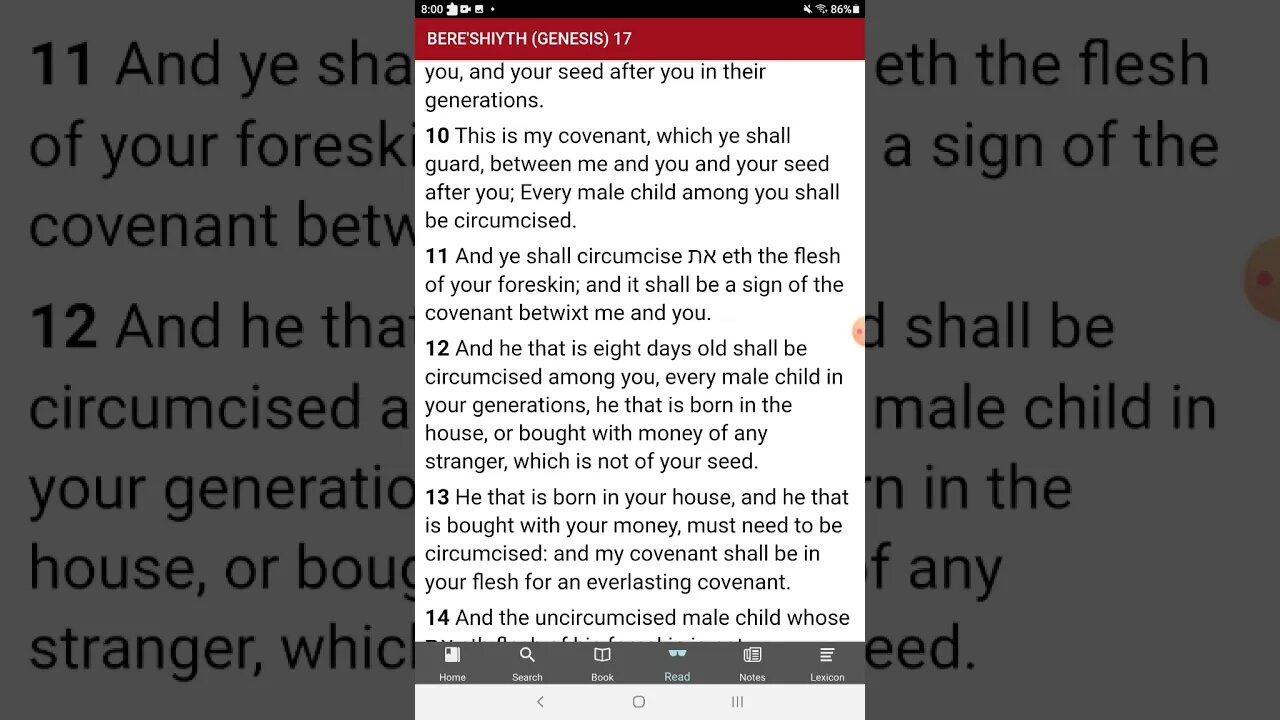 The covenant with man and YHWH.
