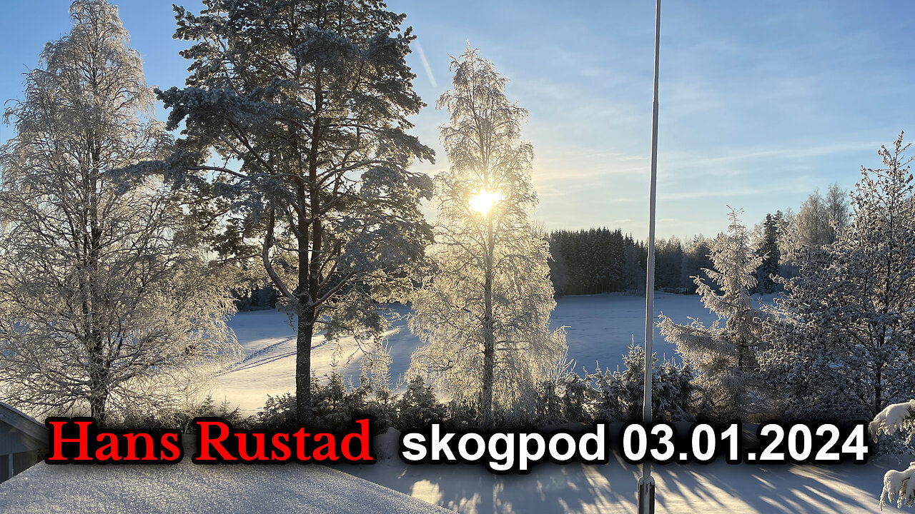 Skogpod 3. januar 2024