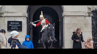 Guard calls for assistance #horseguardsparade