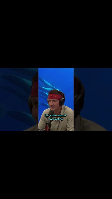 Sonny is showing Joe Rogan dried whale meat from the Faroe Island