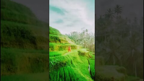 Pemandangan alam #shorts