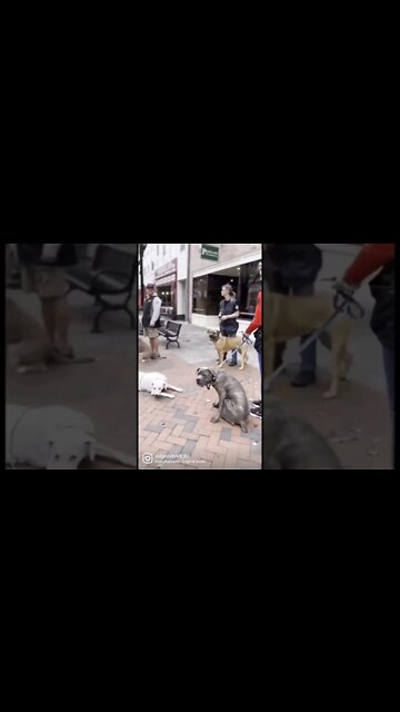 It's like right there