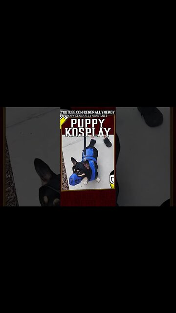 Puppy Kosplay #shorts