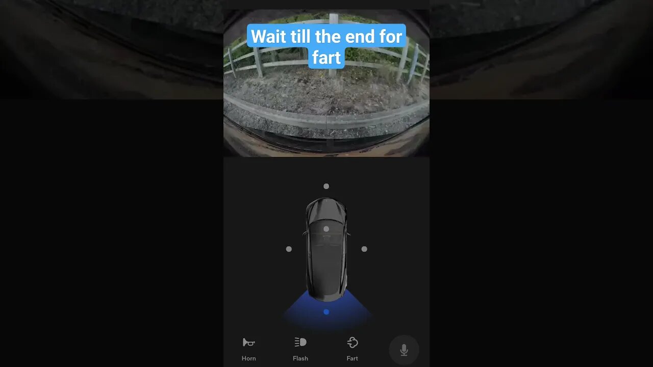 Tesla remote fart functionality