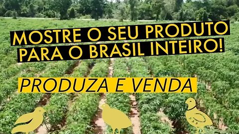 COMO MOSTRAR O SEU PRODUTO PARA O BRASIL INTEIRO E VENDER MUITO #ProduzaeVenda