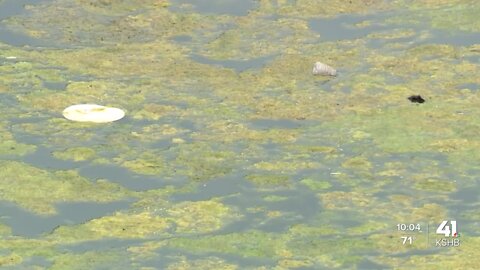 Condition of Brush Creek has attention of KCMO residents, city leaders