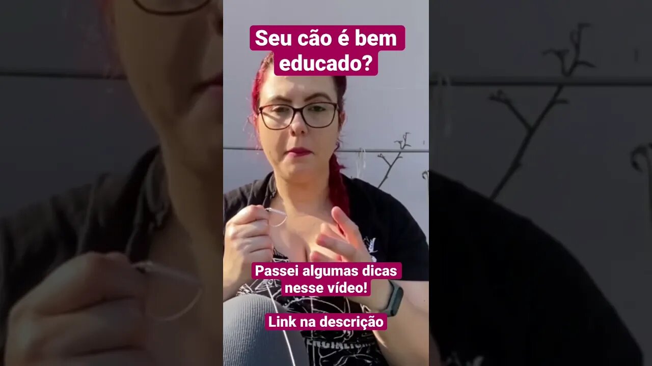 Dicas para educar o seu cão!