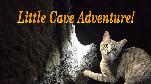 Little Cave--The Pathless Wilderness of Northern Ontario HD