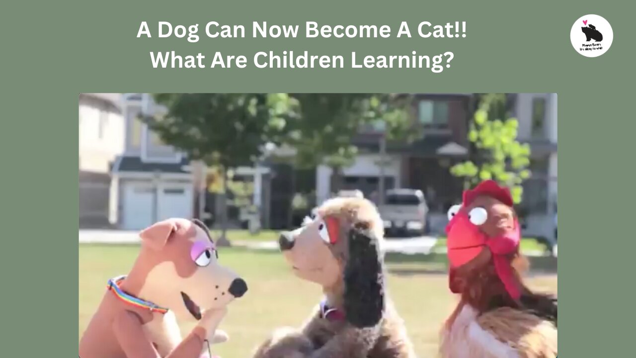 Dogs Can Now Be Cats According To School