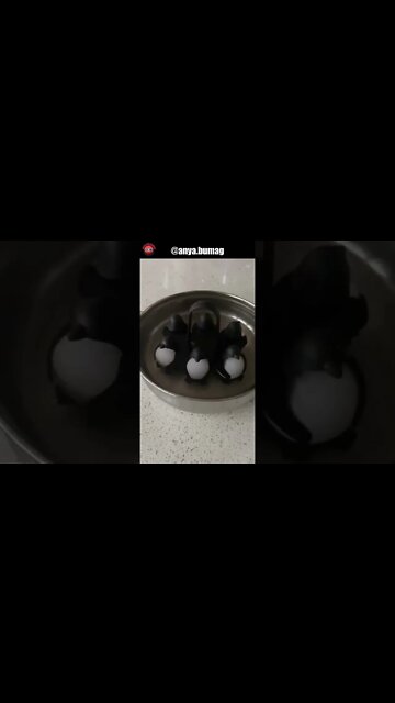 Kitchen Favorite Products #amazonmusthave #amazonkitchen #whatilearned #welcome2023 #shorts