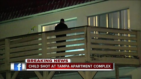 3-year-old boy shot at Tampa apartment complex, police on scene investigating