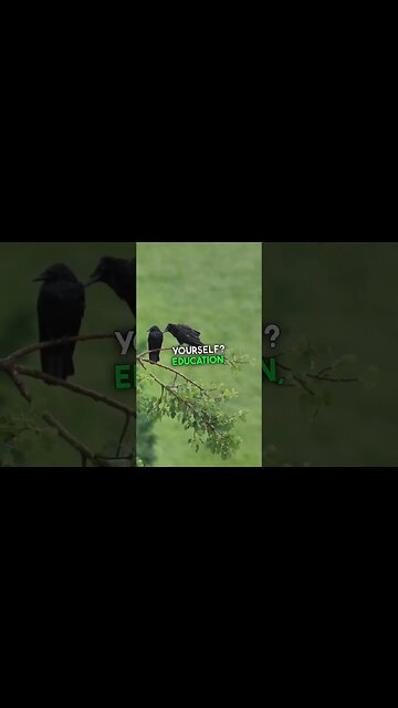 Invest In Yourself 🚀🚀#entrepreneur #investing #stockmarket