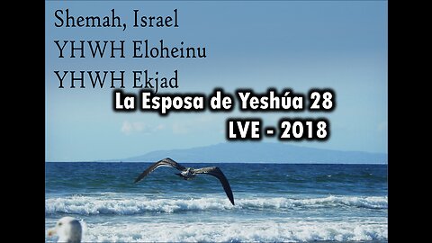 La Esposa de Yeshúa 28 - YHWH Ekjad 7
