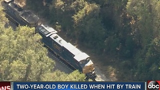 Toddler hit by train dies from injuries