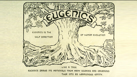 AA- Eugenics 2