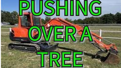 Mini Excavator Pushing A Tree Over #jamesofalltrades #subscribe #diy #follow #firewood