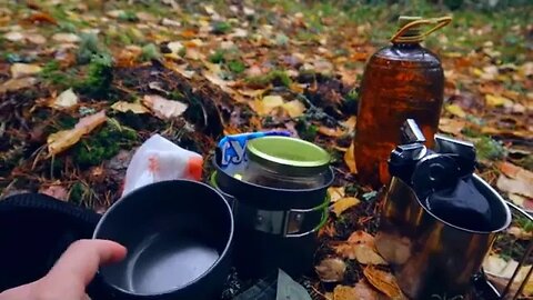 Autumn bushcraft hiking in the rainy fores...11