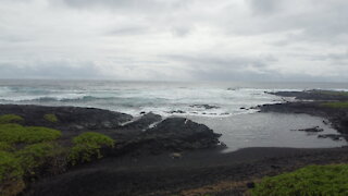 Punalu'u Black Sand Beach Hawaii