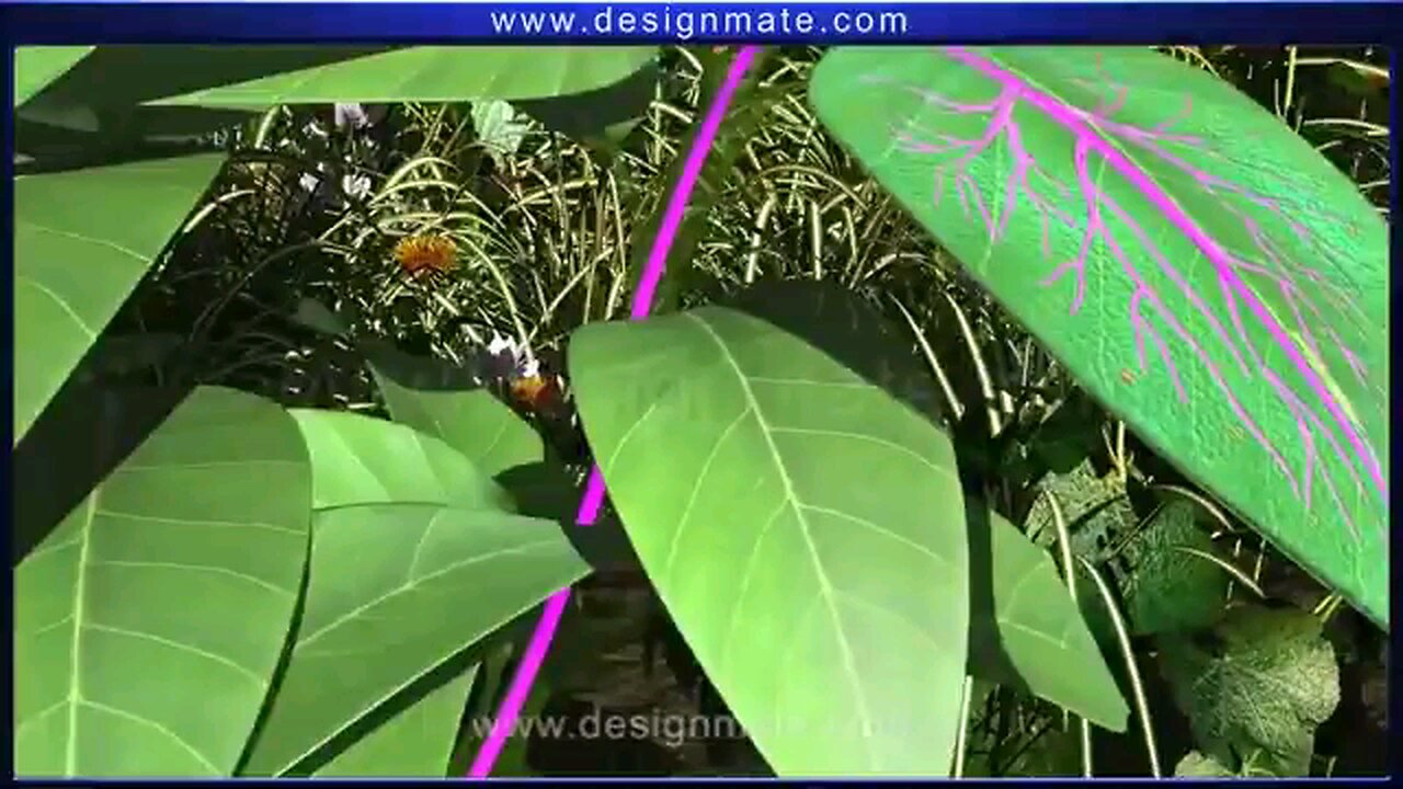planet earth 🌿 planet 2024