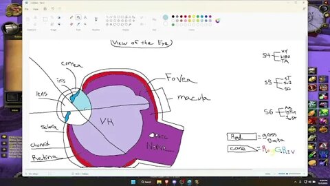 Session 4: Metagame (Paint, Typing, Aim Training) - Part 9 -