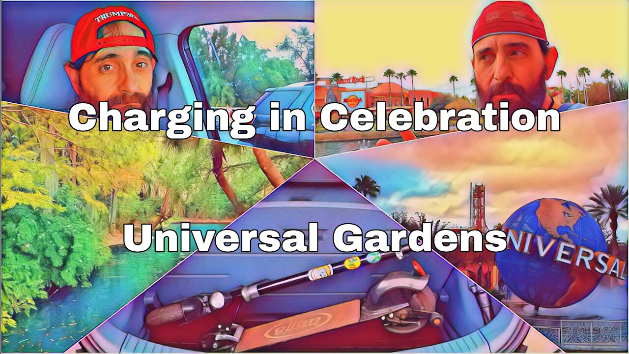 Celebration Charging | Universal Gardens