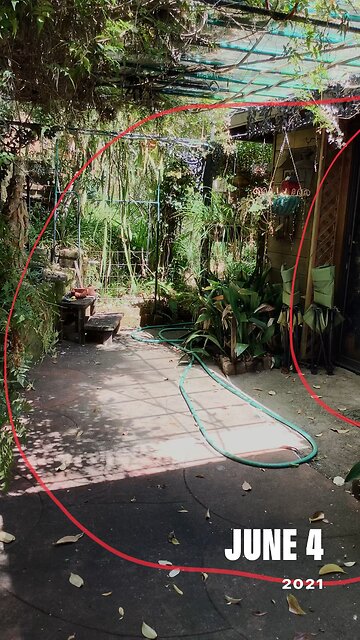 Discovered my folks abandon property