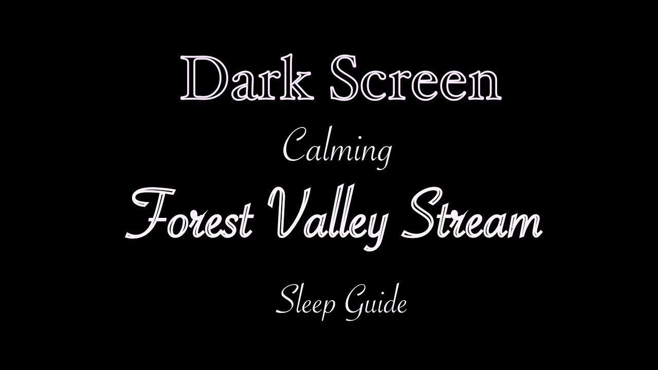 Soothing Forest Valley Stream