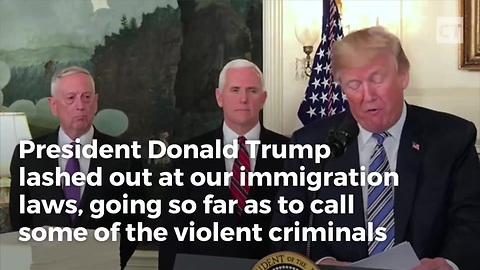 CNN's Navarro Says Nazis Call Others Animals, Forgets She Called Trump an Animal