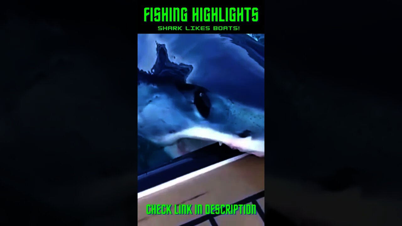 Shark Eats Boat! #Shorts #BassFishing, #DeepSeaFishing, #SaltWaterFishing #Fish #Fishing #Sharks