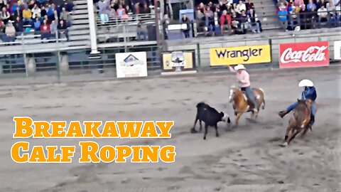 Breakaway Calf Roping at Jackson Hole Rodeo Wyoming