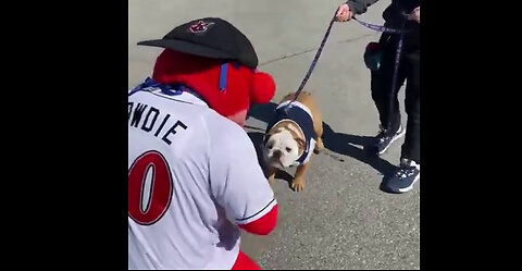 March 6, 2021 - Mascots of Butler University & Indianapolis Indians Meet