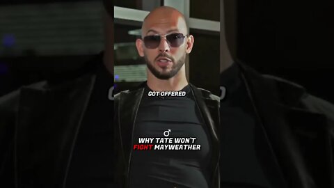 Tate VS Mayweather coming soon?🧐