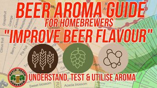 Improve Beer Flavour Via Aroma Guide For Homebrewers