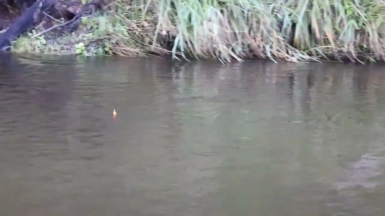 FLOAT FISHING for KING SALMON & 8