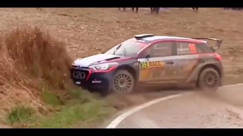 WRC RALLY = SEE WHAT HAPPENS DURING THE VIDEO = Léo Sócrates