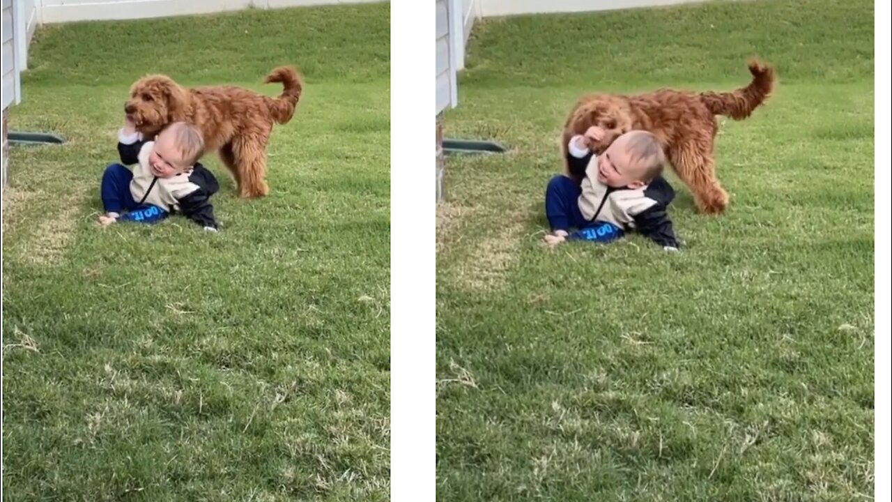 Little toddler playing with his doggy crucial moments