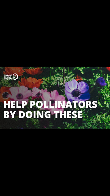 Help Pollinators by Doing These #shorts